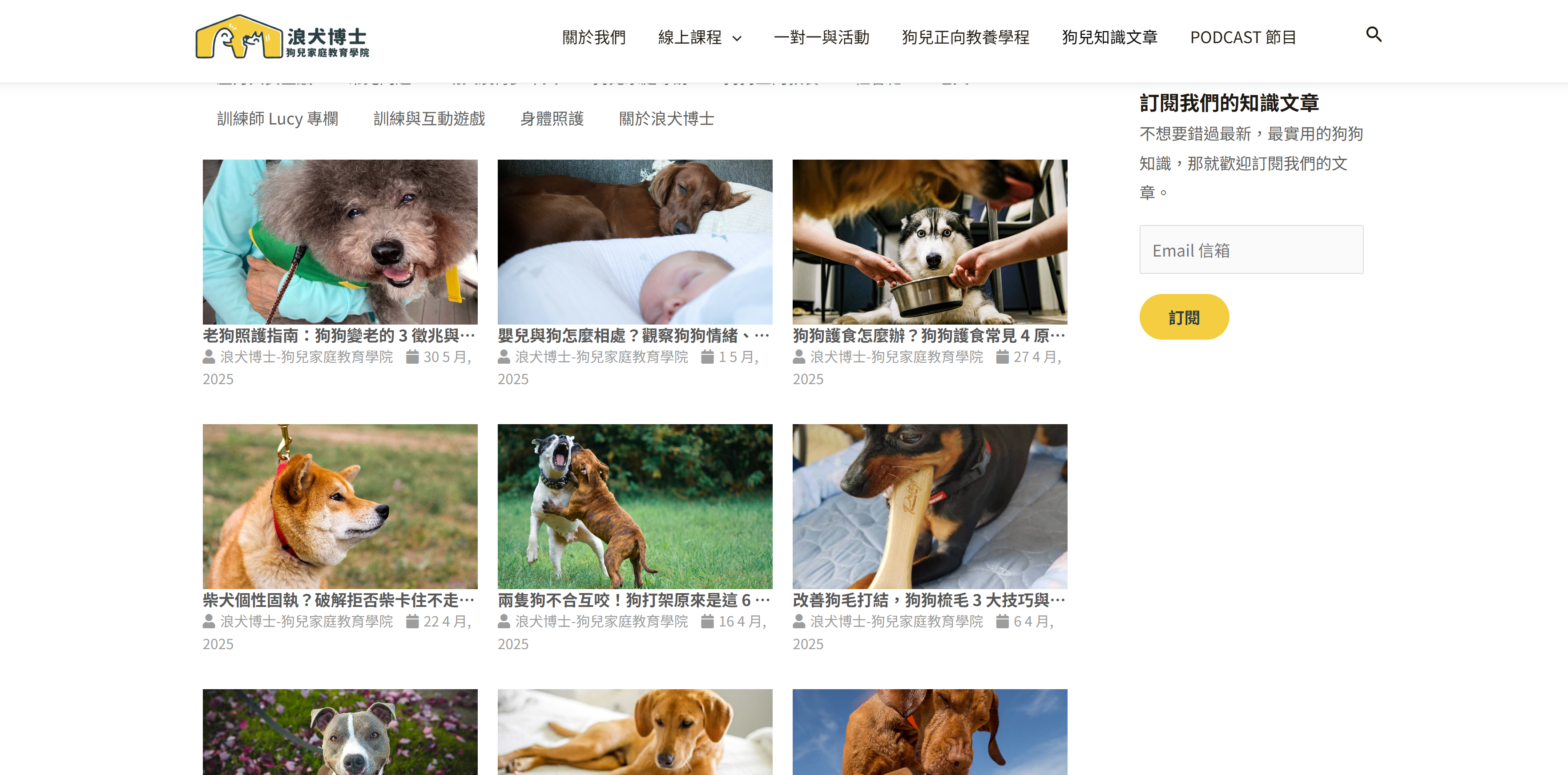 浪犬博士